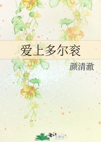 《爱上多尔衮》