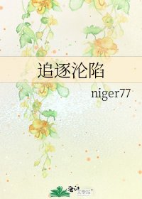 《追逐沦陷》