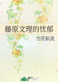 《藤原文理的忧郁》