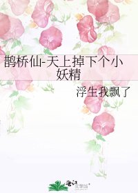 《鹊桥仙-天上掉下个小妖精》