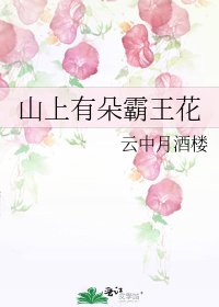 《山上有朵霸王花》