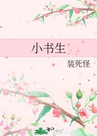小书生