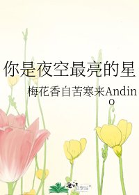 《你是夜空最亮的星》