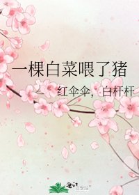 《一棵白菜喂了猪》