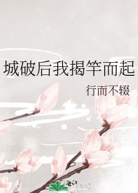 《城破后我揭竿而起》