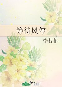 《等待风停》