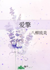 《爱擎》