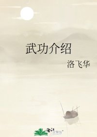 《武功介绍》