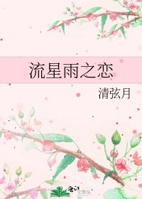 《流星雨之恋》