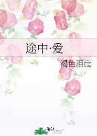 《途中·爱》