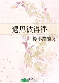 遇见彼得潘