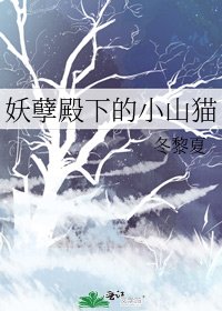 《妖孽殿下的小山猫》