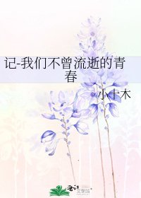 《記-我們不曾流逝的青春》
