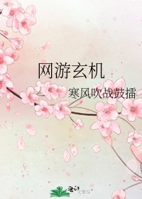 《网游玄机》