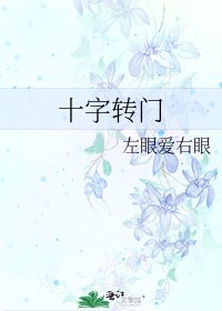 《十字转门》