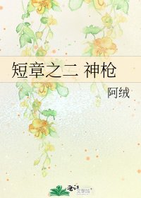 《短章之二 神枪》