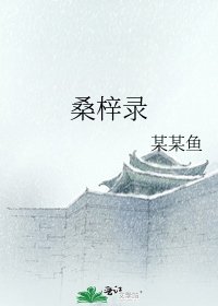 《桑梓录》