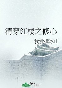 《清穿红楼之修心》