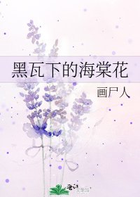 《黑瓦下的海棠花》