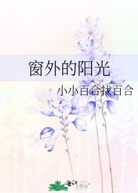 《窗外的陽光》