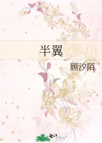 《半翼》