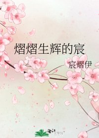 熠熠生辉的宸