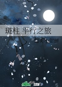 斑柱 平行之旅