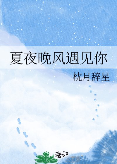 夏夜晚风遇见你