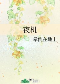 《夜机》