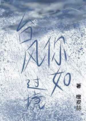 《你如台风过境》