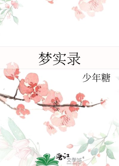 《梦实录》