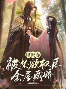 《锦帐春:被禁欲权臣金屋藏娇/权宠:禁欲权臣的心娇娇》