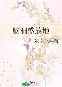 《脑洞盛放地》