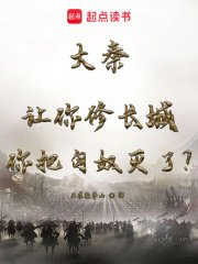 《大秦:让你修长城你把匈奴灭了?》