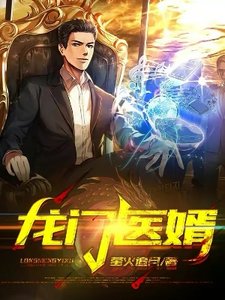 《龙门医婿》