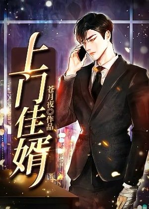 《上门佳婿》