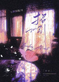 《冰川蝴蝶》