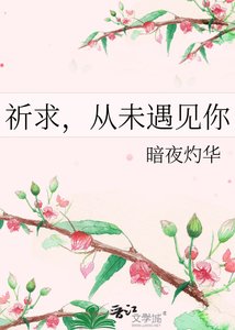 《祈求,从未遇见你》