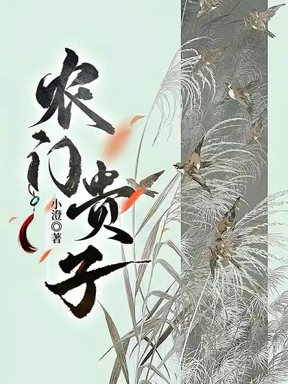 《农门贵子》