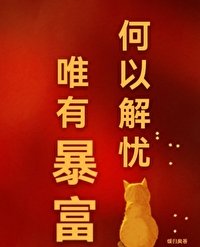《何以解忧,唯有暴富》