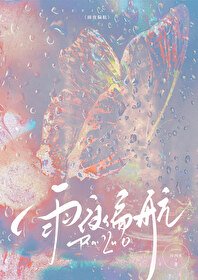 《雨夜偏航》