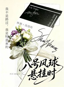 《八号风球悬挂时》