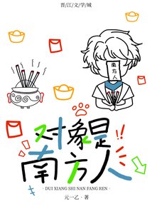 《对象是南方人》