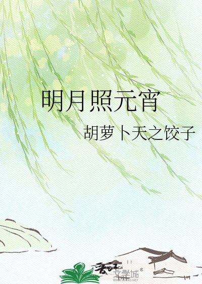 《明月照元宵》