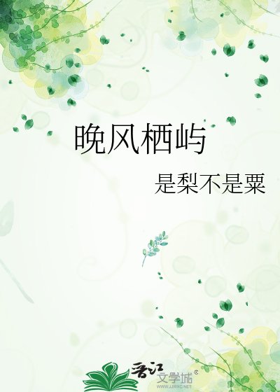 《晚风栖屿》