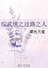 （BL/综武侠同人）综武侠之过路之人