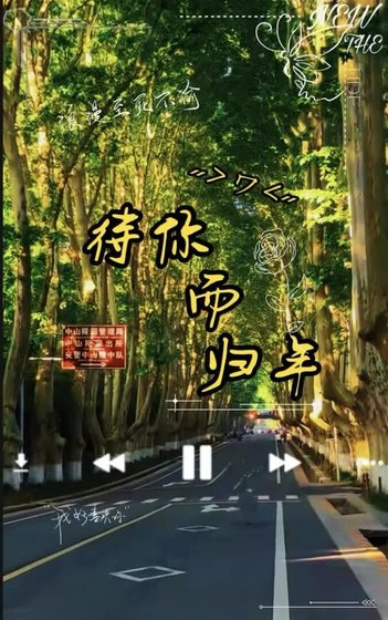 《待你而归年》