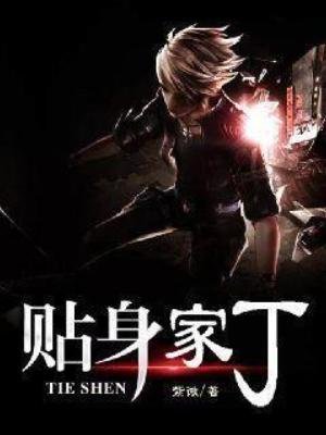 《贴身家丁》