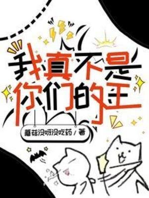 《我真不是你们的王》
