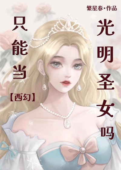 《圣骑士决定……》